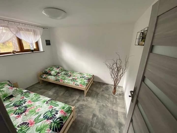 Domki letniskowe 4 osobowe  w lesie nad jeziorem Borek