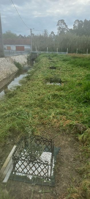 Vende-se Terreno rústico