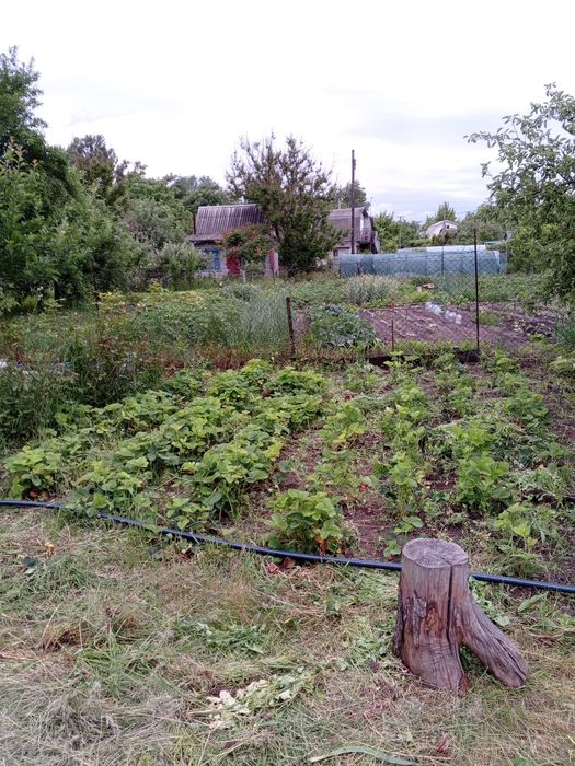 Продам дачу СТ Евріка