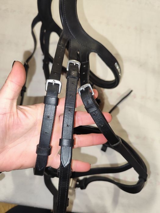 Ogłowie z cofniętą potylicą