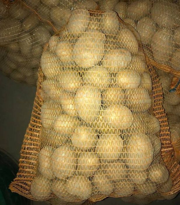 Ziemniaki jadalne Denar