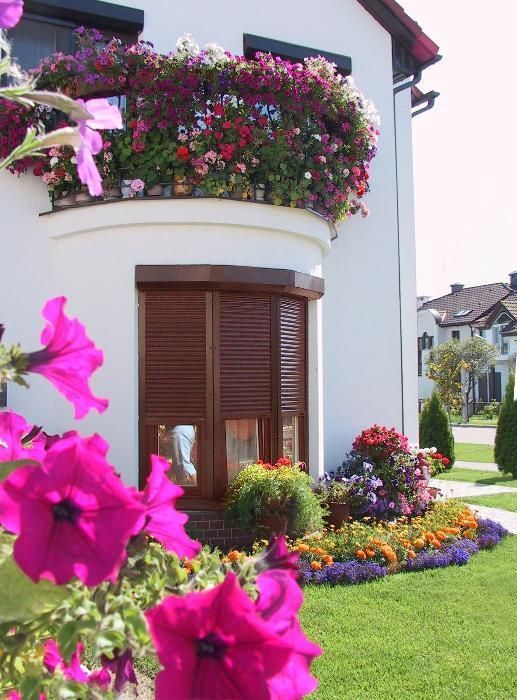 Ролети захисні / Ролеты защитные Хмельницький