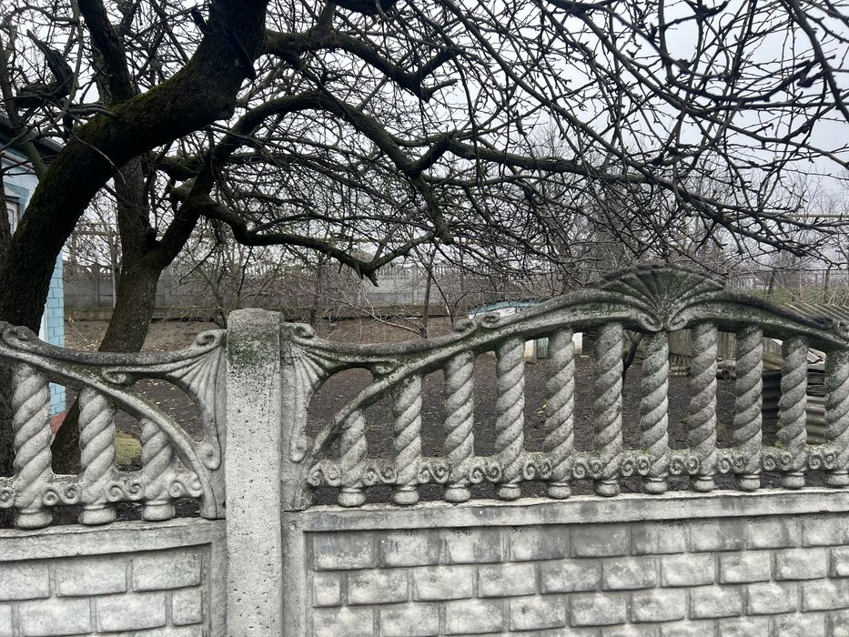 Продам будинок у Царичанці