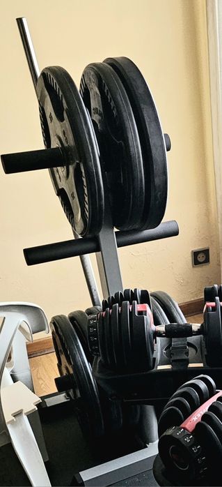 Suporte para discos olímpicos e barra Body-Solid GOWT