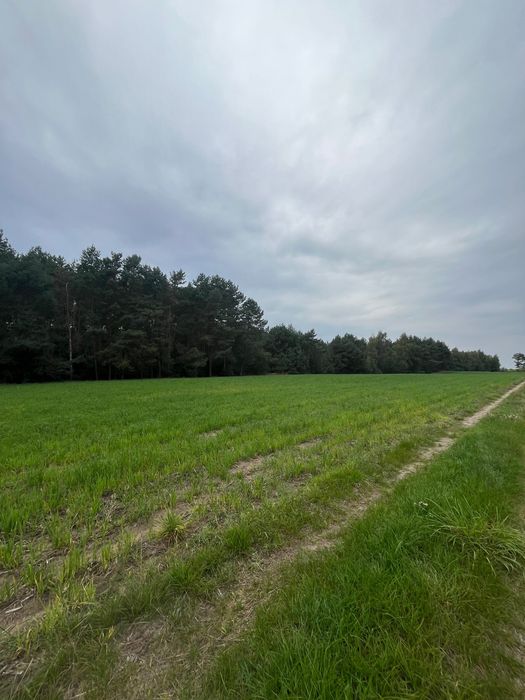Działka pod zabudowę