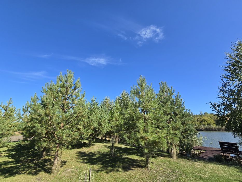 Продам автономний будинок в мальовничому місці