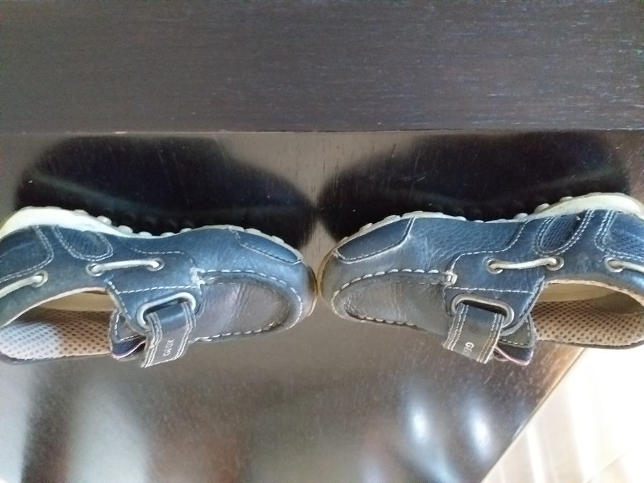 Sapatos geox tamanho 23