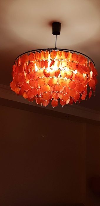 Candeeiro Gato Preto