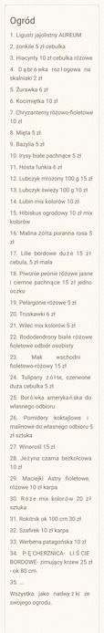 2x Rododendron fioletowy różowy