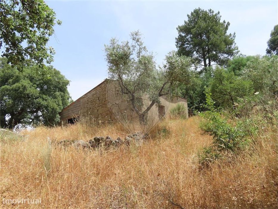 Quinta  para venda — Aldeia de Santa Margarida, Castelo Branco