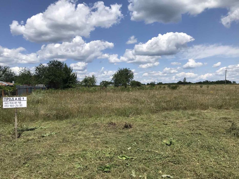 Земельна ділянка