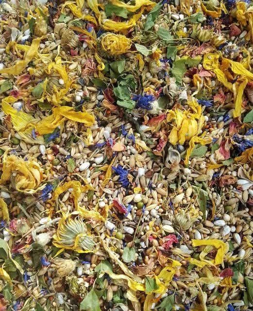 Karma dla myszy FOREST GOODS 1kg