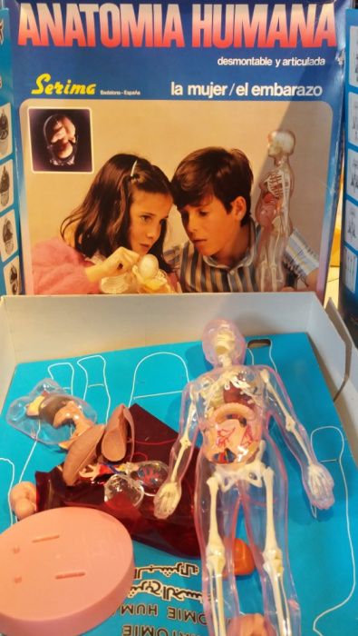 Jogos -Anatomia Humana