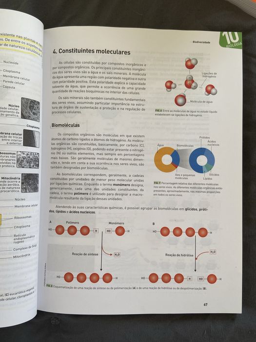 Preparação para o Exame Final Nacional de Biologia e Geologia