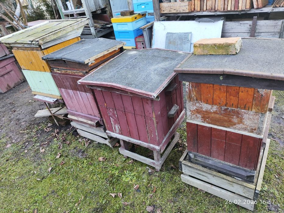 Ule drewniane ul pasieka