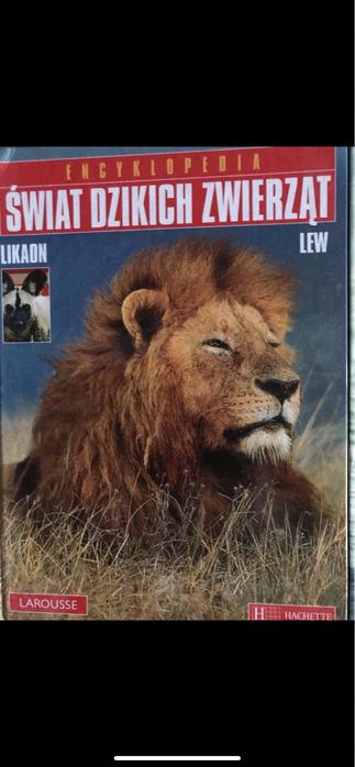 Zestaw Swiat dzikich zwierzat wysylka 1 zl