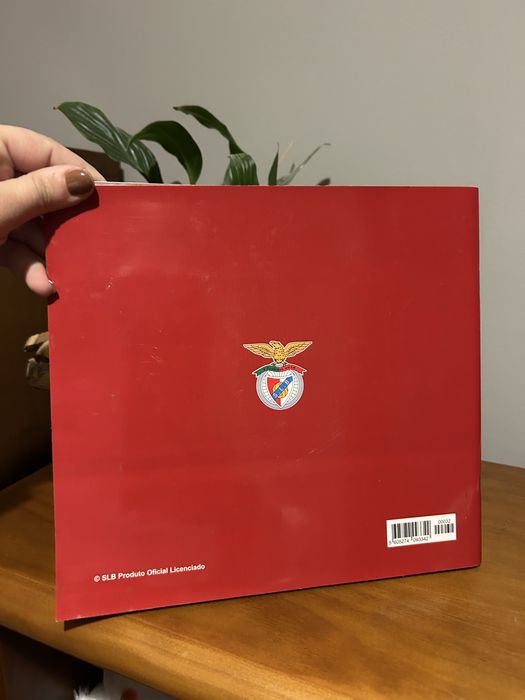 Caderneta sl benfica 2010/2011