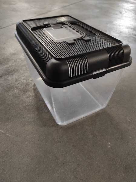 Caixa de Transporte de Tartaruga