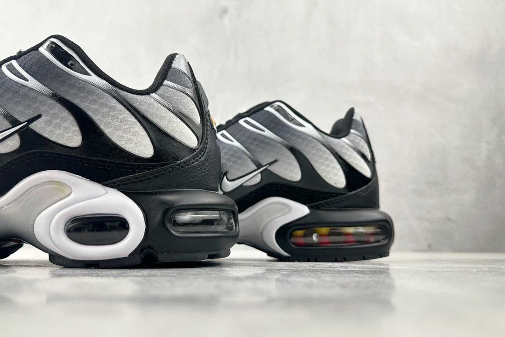 Air_Max_TN_Plus 41