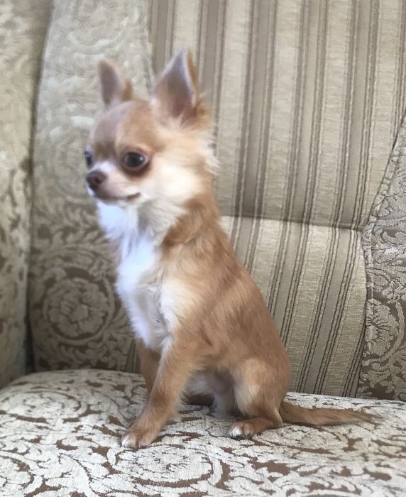 Маленькие позитивчики