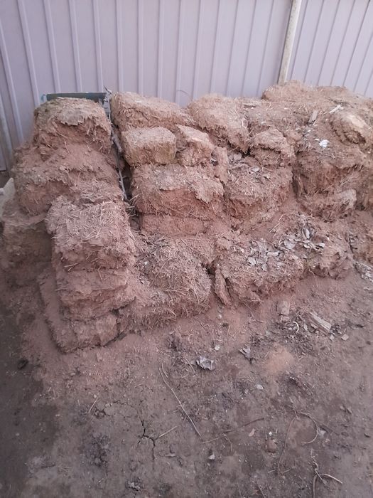 Отдам даром ломпач