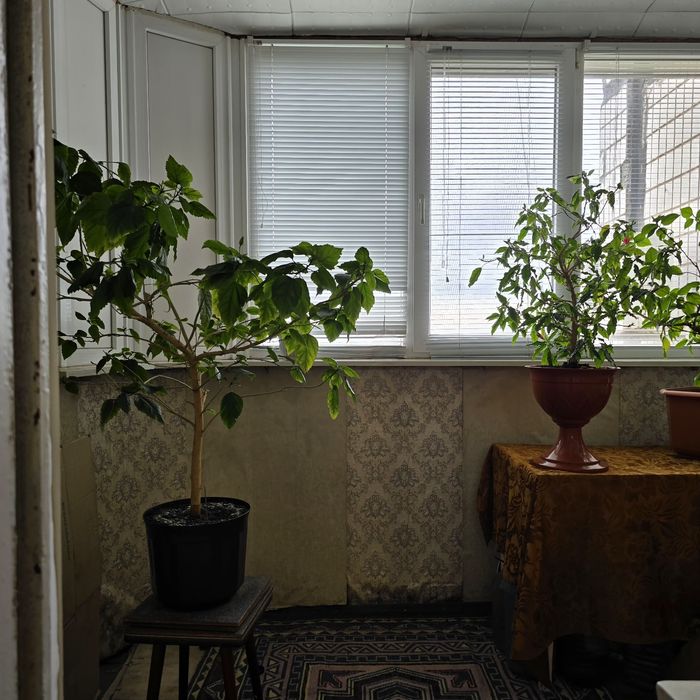 Є-відновлення! Панорамна квартира на Світальського,20