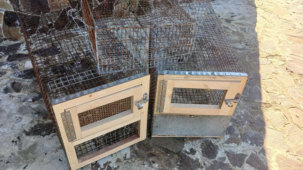 Клітки для кролів та нутрій