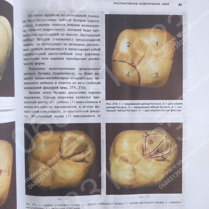 Встигни замовити!! Художественное моделирование .Стоматологія книга