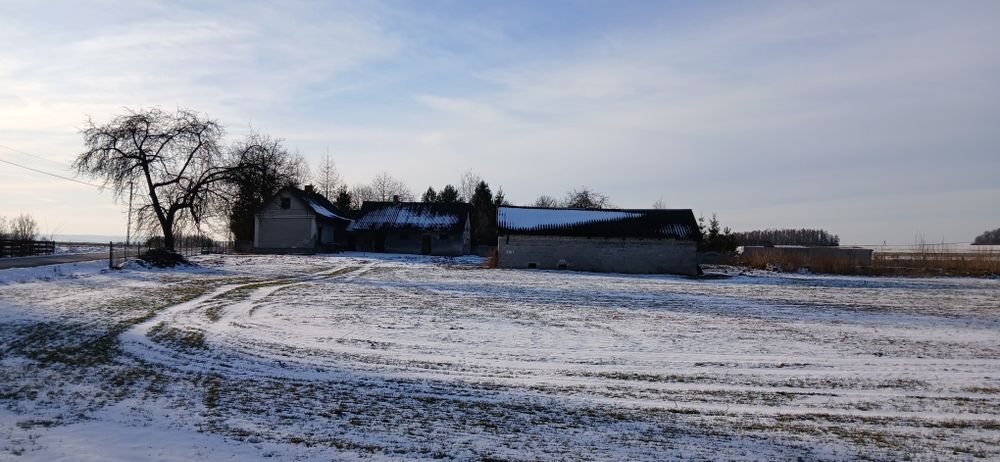 Dom do remontu w malowniczej okolicy.