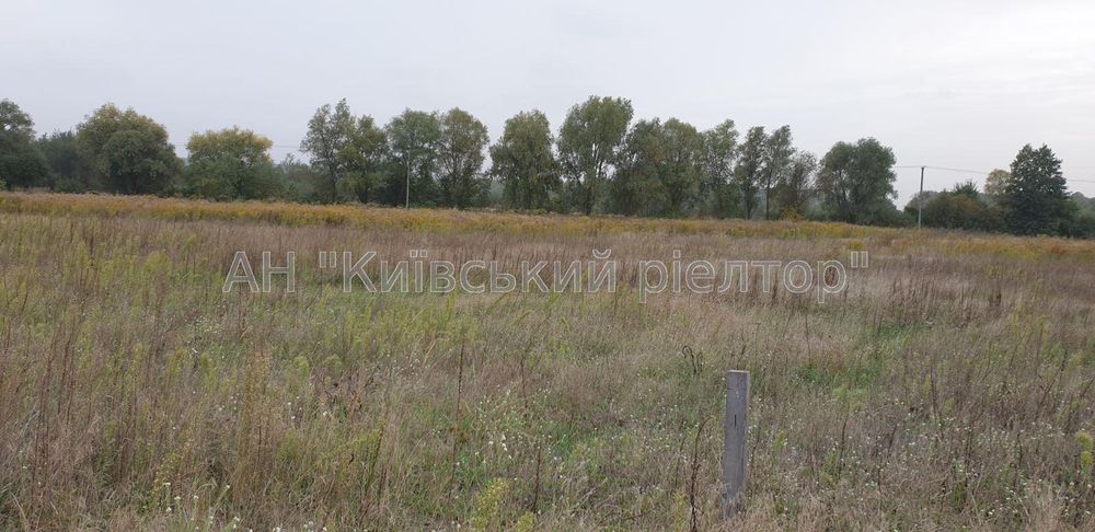 Без комісії. Земельна ділянка 22 сот, с. Пухівка, Броваський р-н