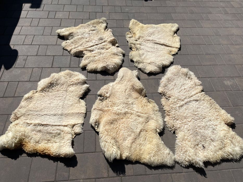 Skóry z owiec naturalne