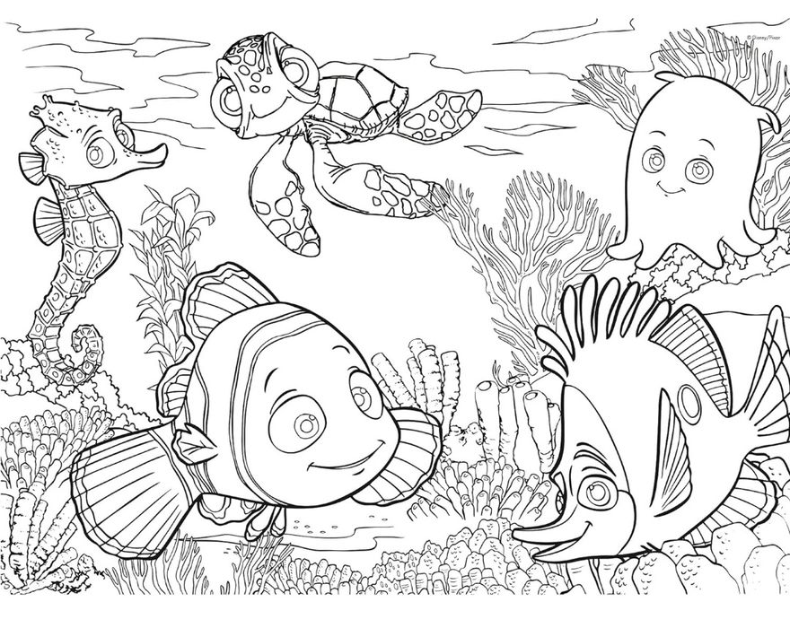 Puzzle 60pcs Nemo novo