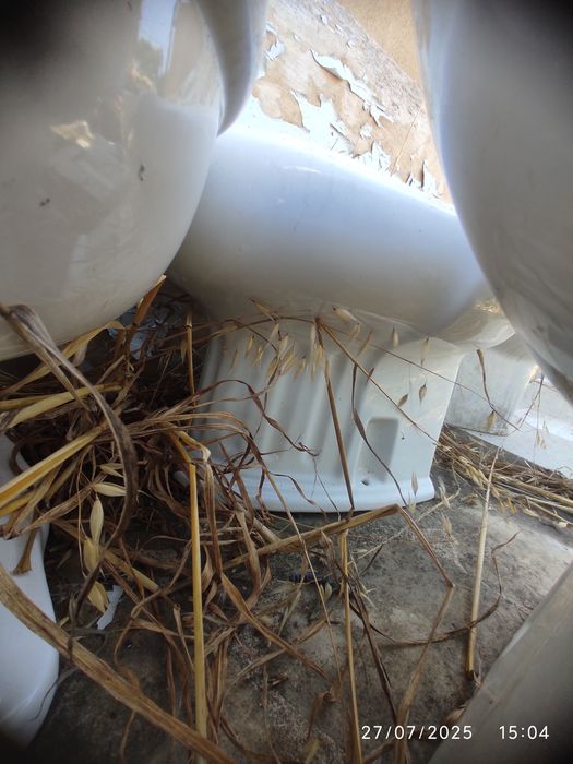 Loiças casa de banho