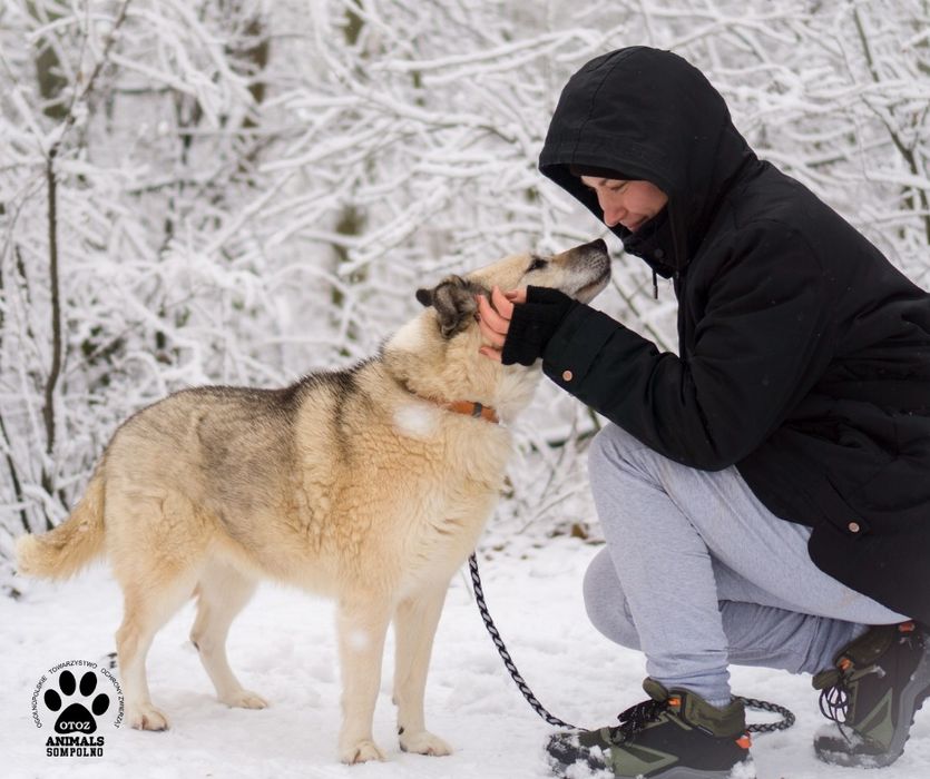10 letnia Bazylka szuka domu!