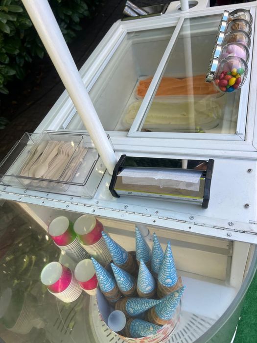 Carrinhos gelados para o seu evento