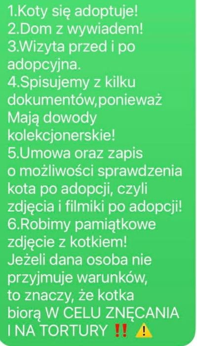 Oddam kotka w dobre ręce