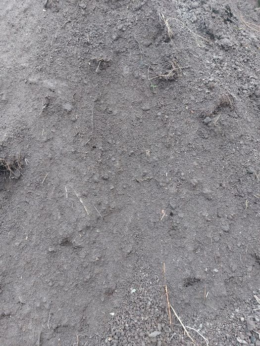 Czarnoziem,  ziemia ogrodowa