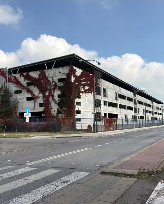 Wynajem miesca postojowego