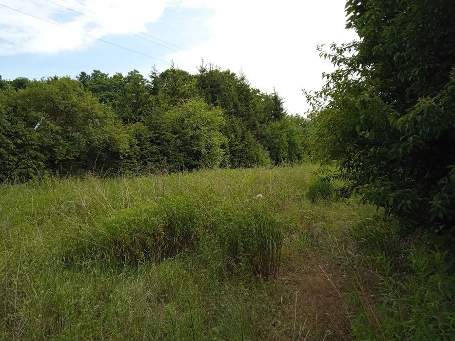 Działka 1283 m² Obrzycko - Widok 2
