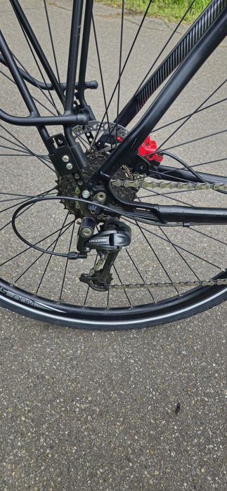 Rower Pegasus Solero