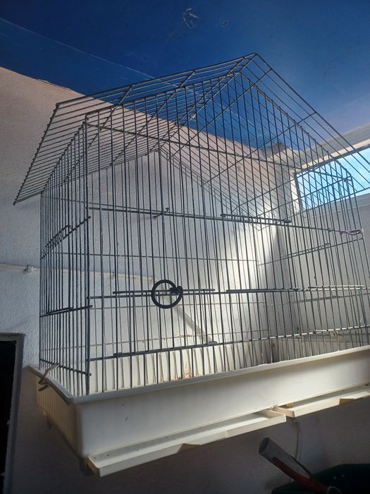 Vendo gaiola e viveiro