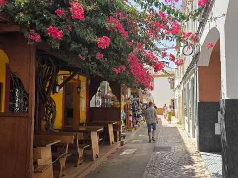 Fantástico T2 anual