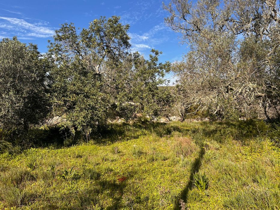 Terreno no Algarve