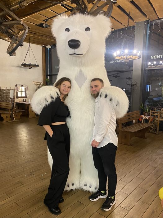 Білий ведмідь; Ведмедик; Панда