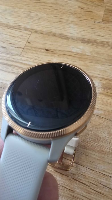 Smartwatch Garmin Venu