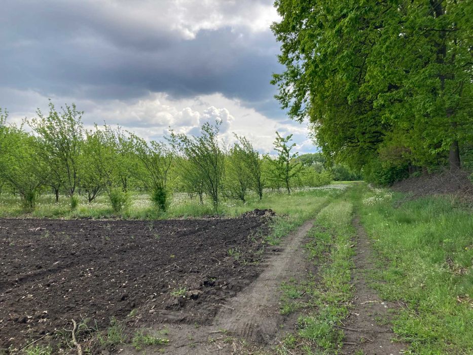 Продам земельну ділянку під комерцію біля складів Нової Пошти, Вінниця