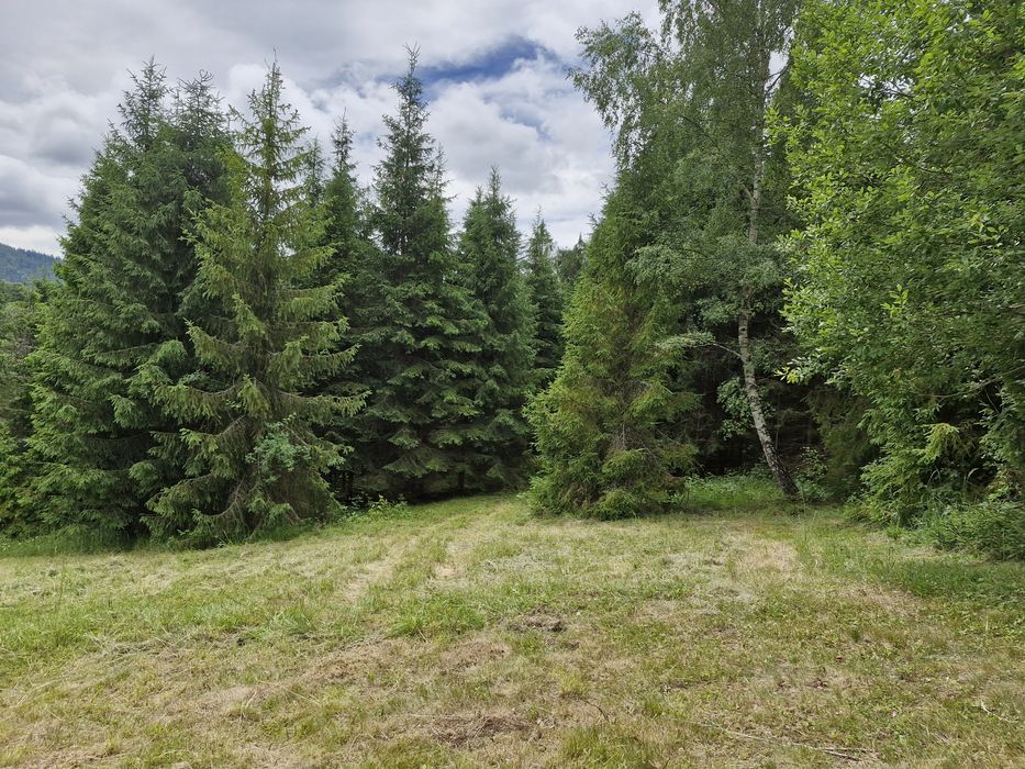 Dzialka Glinka -Smerekow Maly 30a