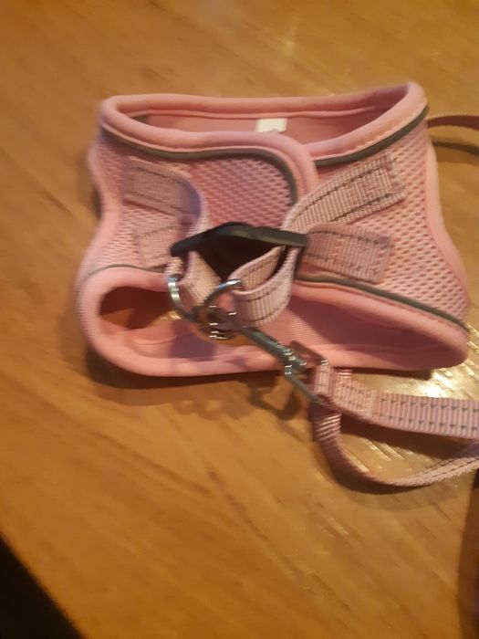 Szelki ze smyczą roz.L dla psa,kota