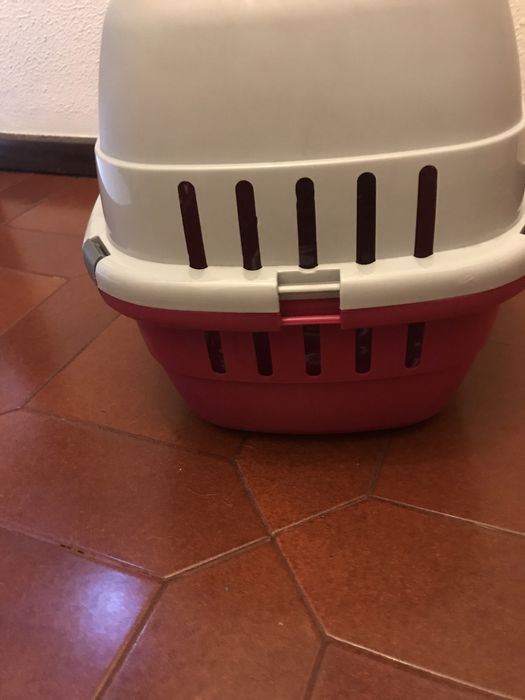 Caixa Transportadora de Gato ou Cão ( porte pequeno)