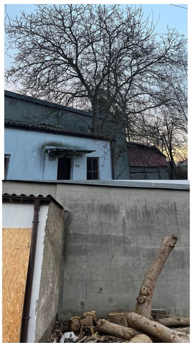 Wycinka drzew rebak łuparka frezarka